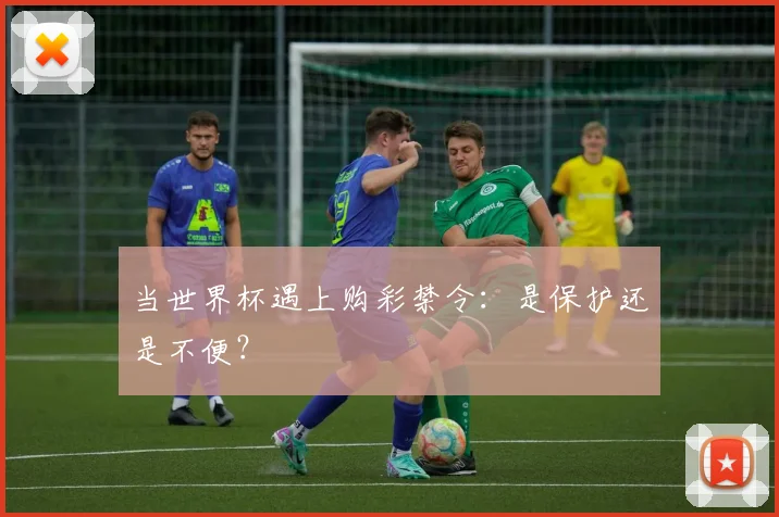 当世界杯遇上购彩禁令：是保护还是不便？